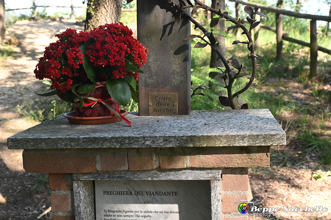 VBS_4746 - Il bosco fatato - Montaldo Roero.jpg